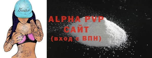 МДПВ Бородино