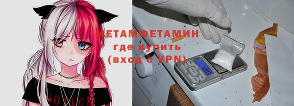 МДПВ Бородино