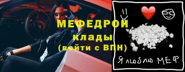МДПВ Бородино