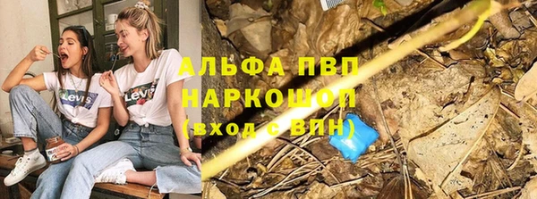 МДПВ Бородино