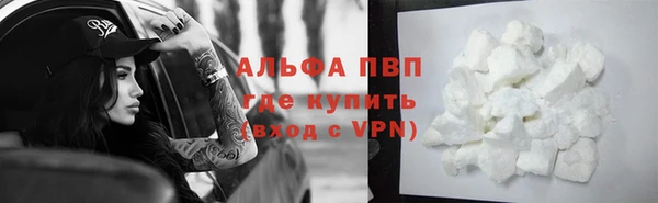 МДПВ Бородино