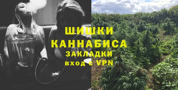 МДПВ Бородино
