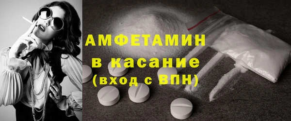 МДПВ Бородино