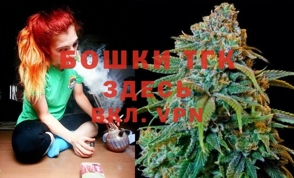 МДПВ Бородино