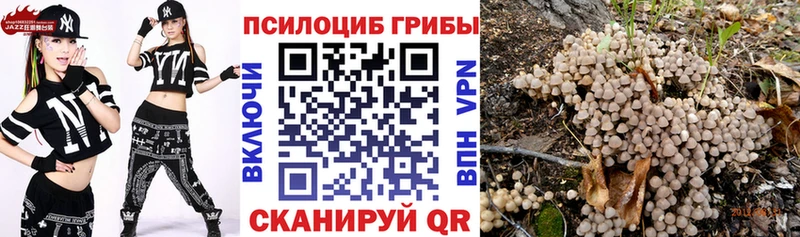 Купить  Сретенск  Галлюциногенные грибы MAGIC MUSHROOMS 