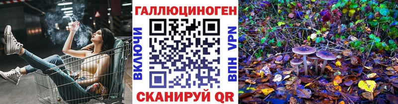Галлюциногенные грибы Psilocybe Сретенск